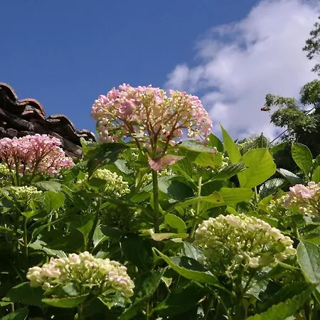 La Rondita, Fuentes, Parres, Asturias Casa vacanze Fuentes (Parres, Asturias)