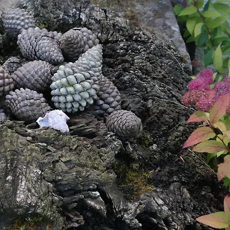 La Rondita, Fuentes, Parres, Asturias * Fuentes (Parres, Asturias)