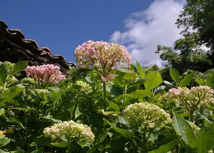 La Rondita, Fuentes, Parres, Asturias Ferienhaus Fuentes (Parres, Asturias)