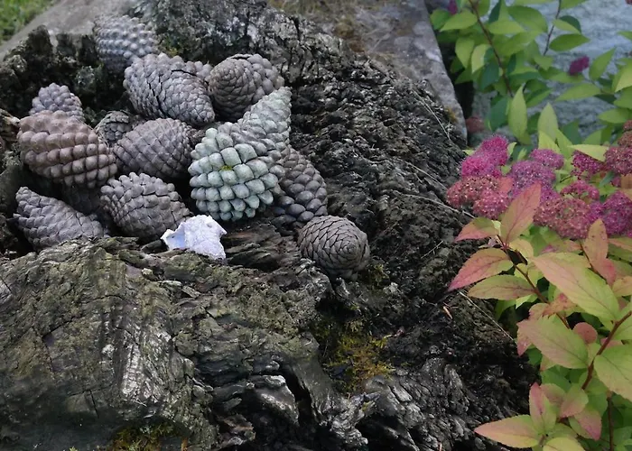 La Rondita, Fuentes, Parres, Asturias * Fuentes (Parres, Asturias)